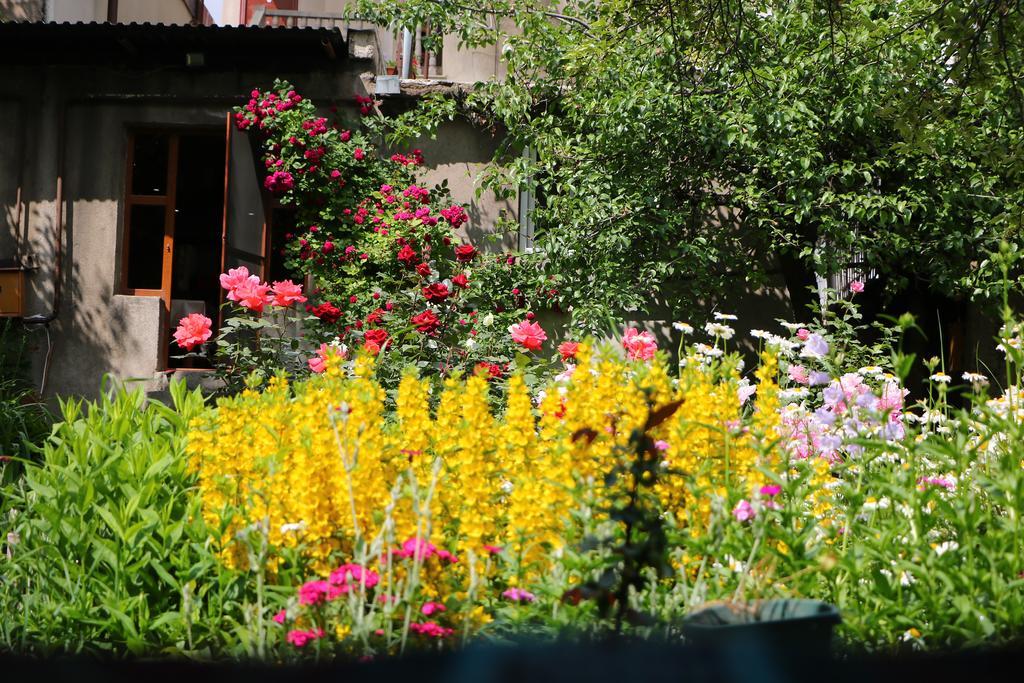 Hotel Mira Goris Exterior photo